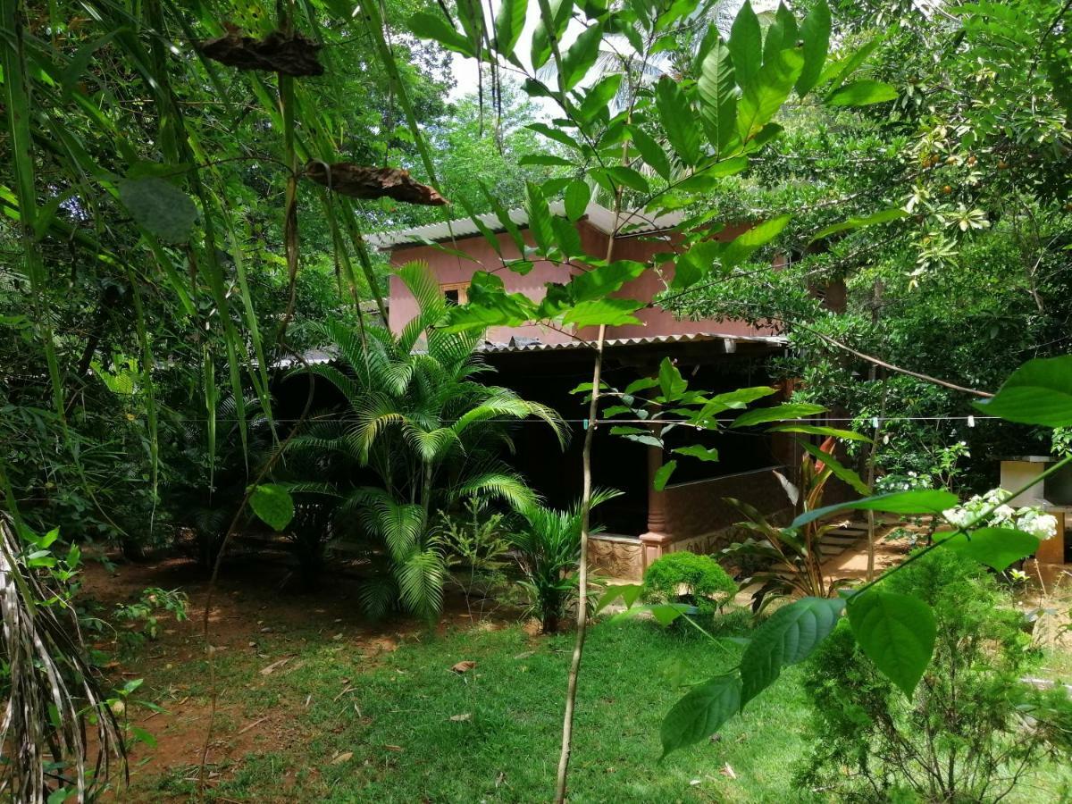 Silent Bungalow Удавалаве Экстерьер фото